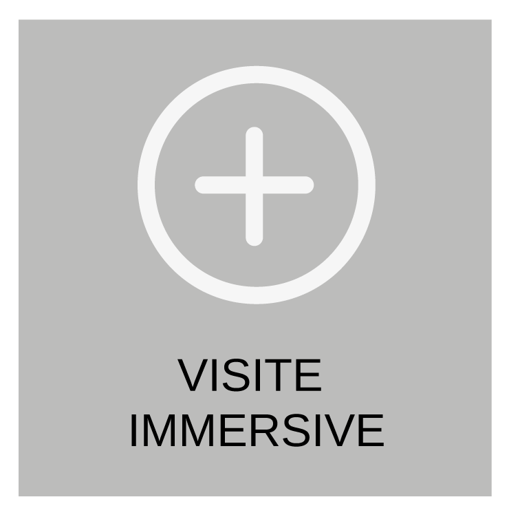 Film visite immersive